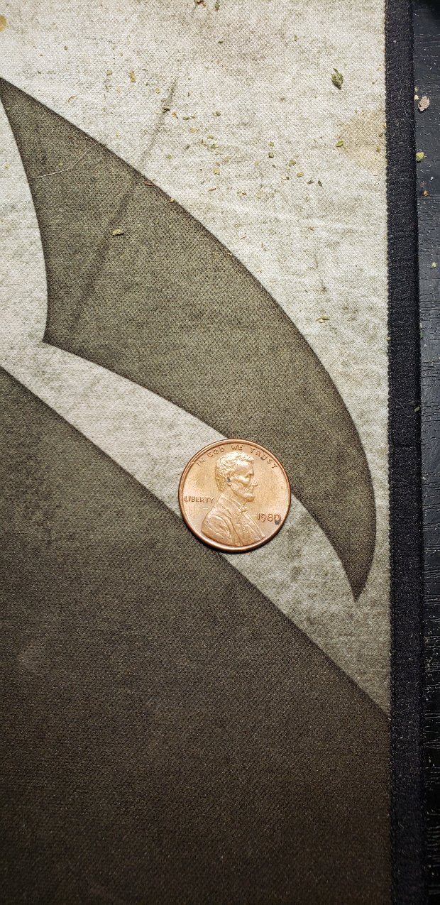 1980-American-Penny-Error.-Pics-Inc
