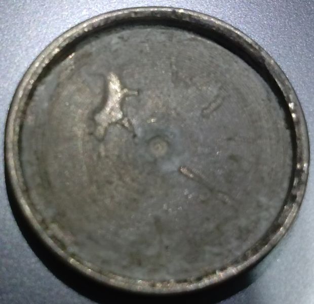 Buffalo-Wheat-Magic-Coin