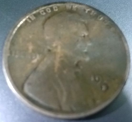 Buffalo-Wheat-Magic-Coin