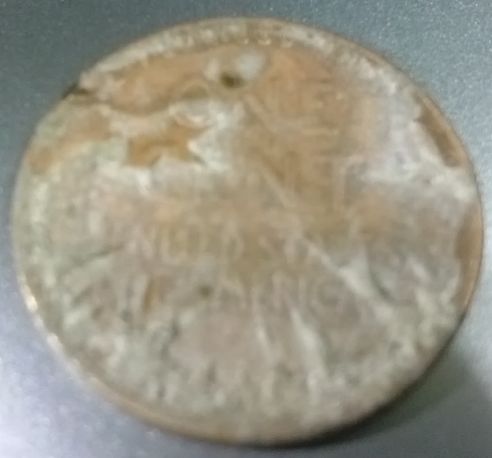 Buffalo-Wheat-Magic-Coin