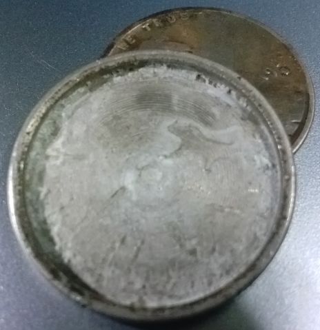 Buffalo-Wheat-Magic-Coin
