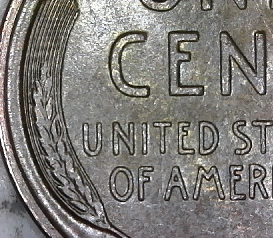 Cleaned-Or-Restored?