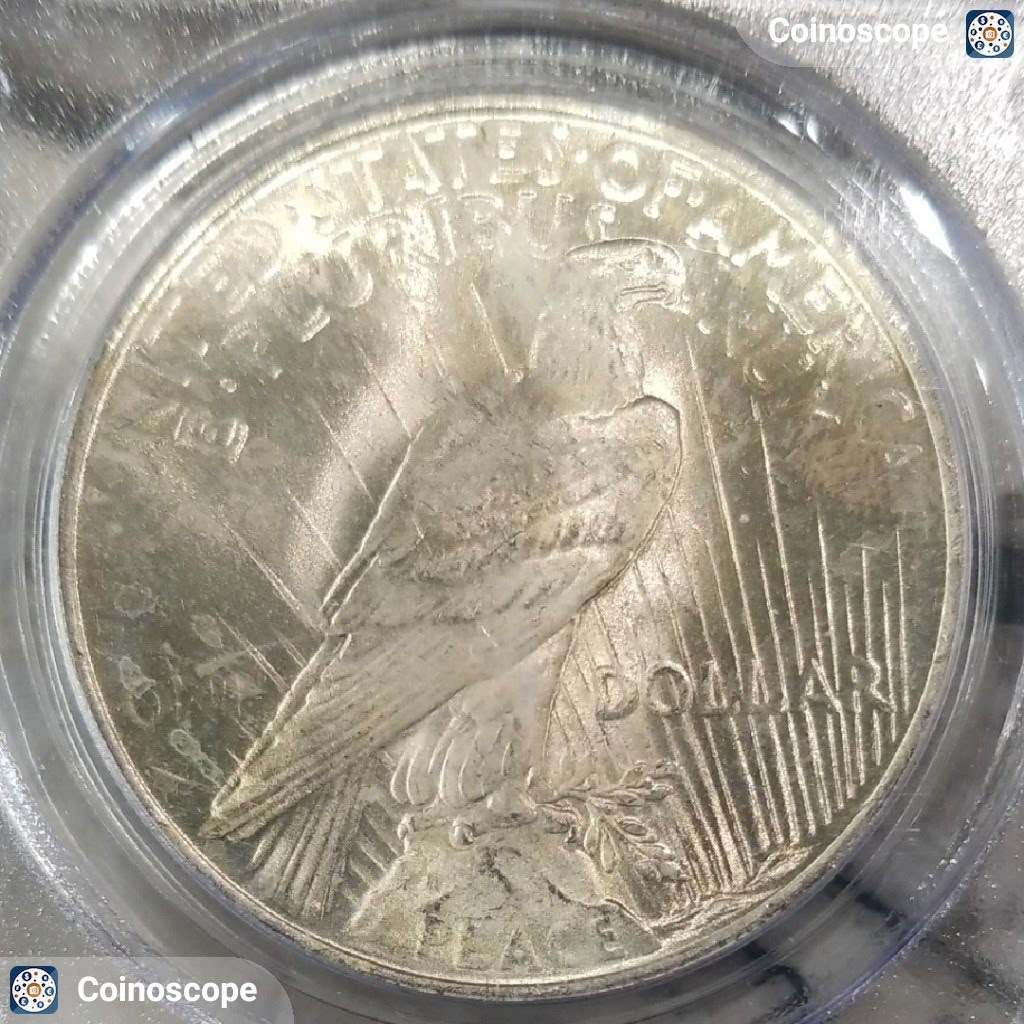 All-Members,-Post-Your-Most-Recent-US-Coin-Purchases!