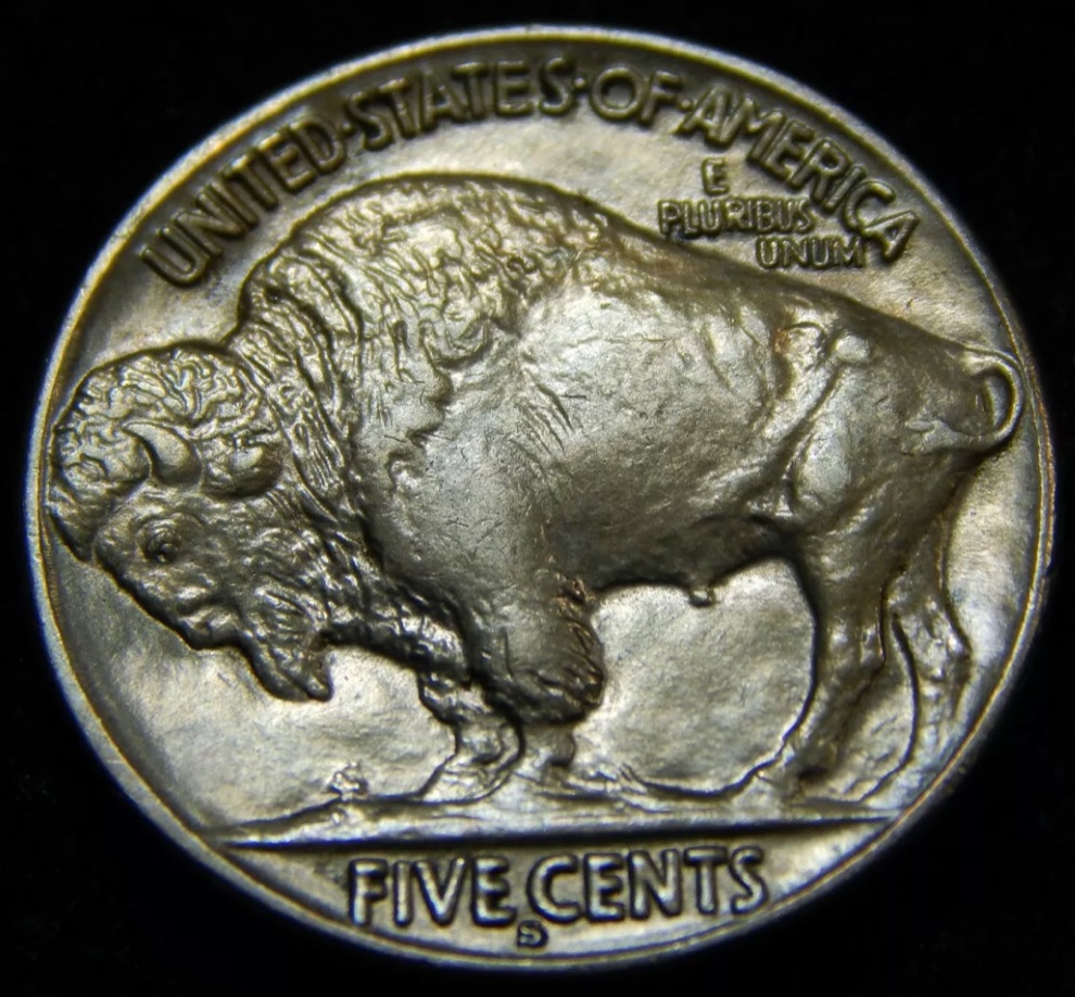 1913-S-Buffalo-Nickel-Type-2...-Grading-Opinions.