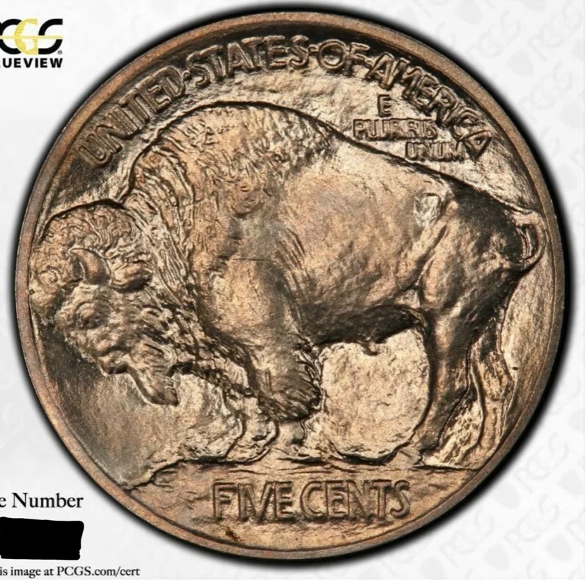1913-Type-1-Buffalo-Ni.-Proof?-Or-Business?