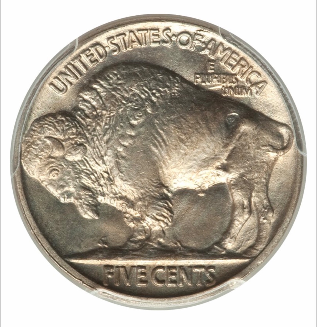 1914-Buffalo-Nickel-You-Vs-PCGS