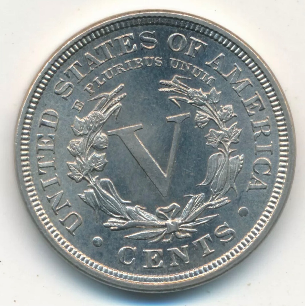 1898-Liberty-V-Nickel-Raw-Opinions