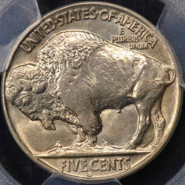 You-Vs.-PCGS-1934-D-Buffalo-Nickel