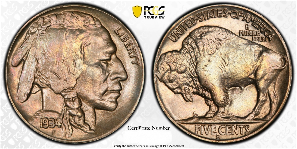 You-Vs.-PCGS-1934-D-Buffalo-Nickel