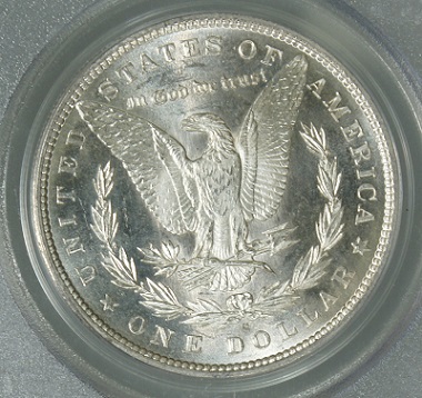 You-Vs.-TPG-On-7-Morgans