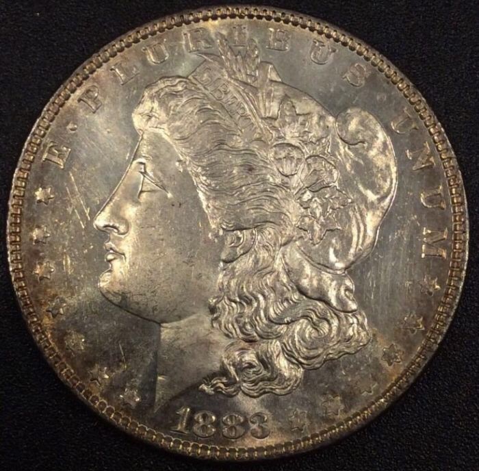 1883-Morgan-Dollar.