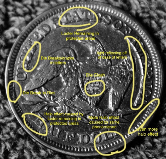 1854-Oseated-Liberty-Half--With-Arrows--Your-Opinions.please