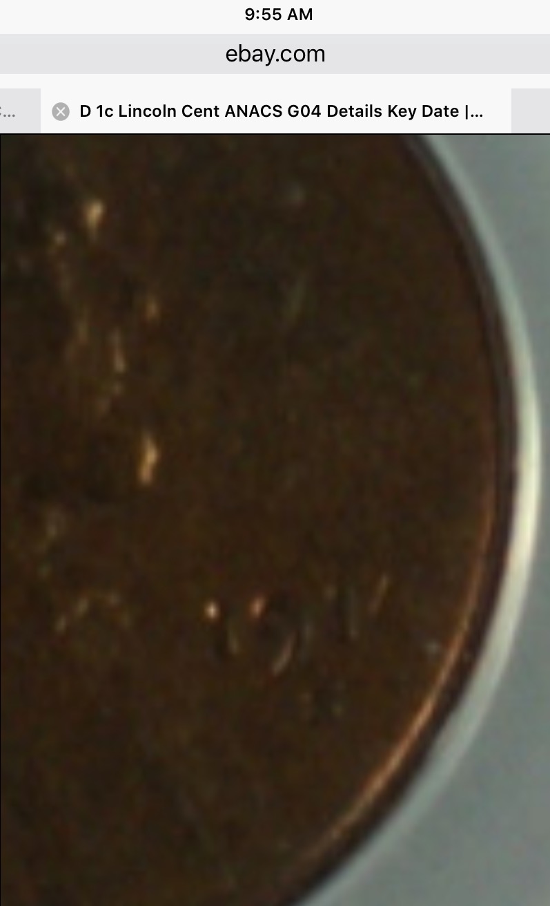1914-S-Wheat-Cent-In-1914-D-ANACS-Holder