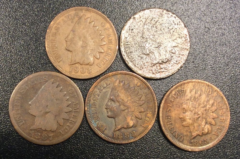 How-Did-I-Do-For-$10?