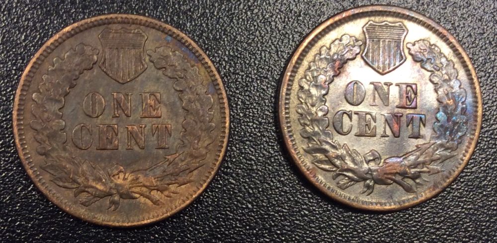 How-Did-I-Do-For-$10?