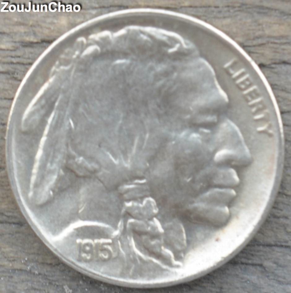 1915-D-Buffalo-Nickel---How-Did-I-Do?