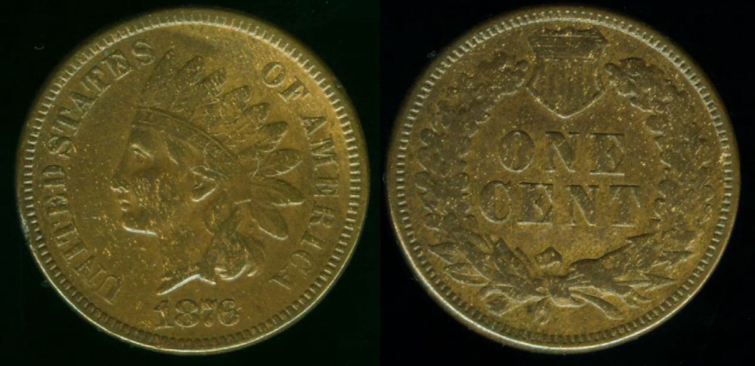Bad-Seller-Pictures.-1876-Indian-Cent