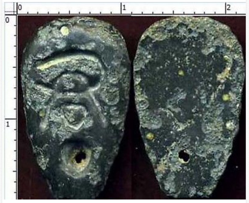 An-Ant-Nose-Coin-You-Have-Never-Seen-Before