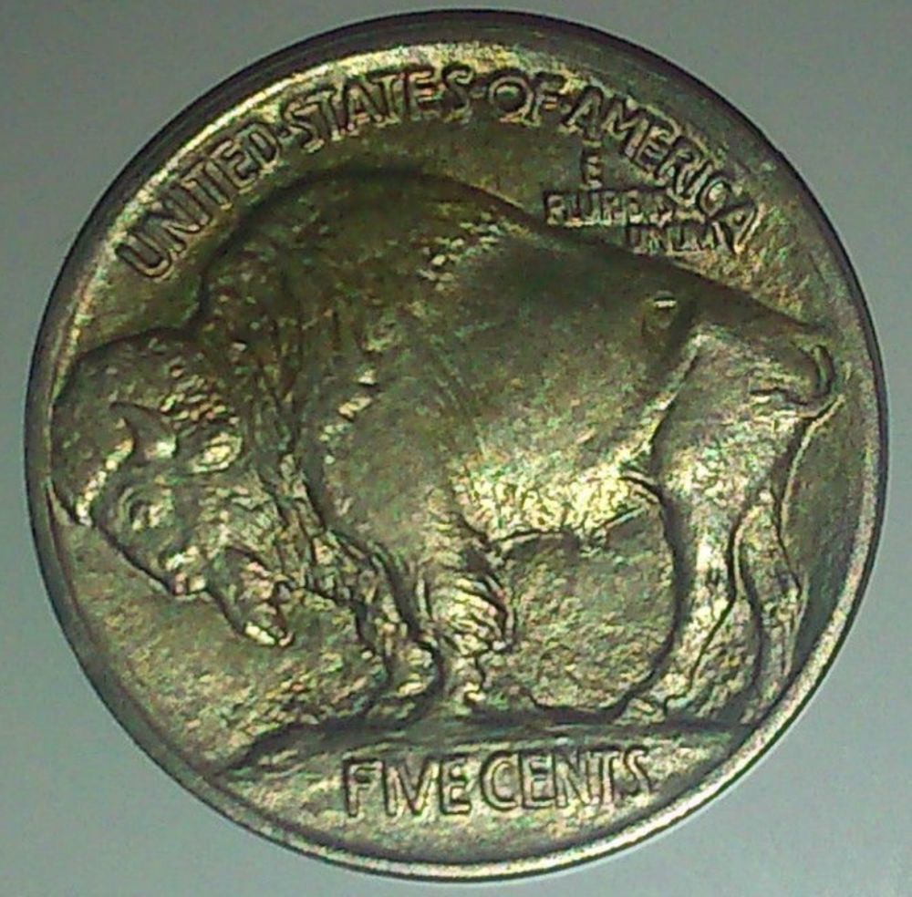1913-Type-1-Buffalo-Nickel