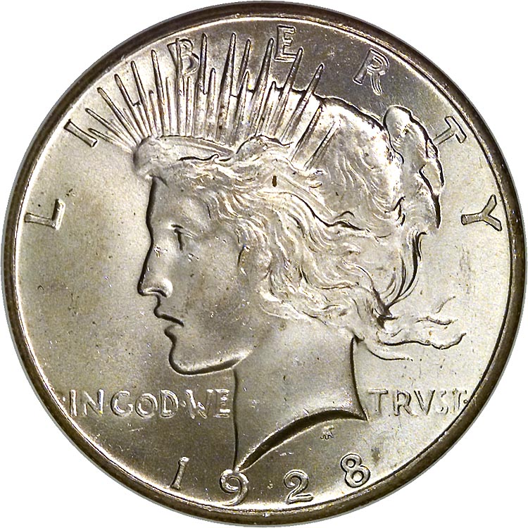 1928-Peace-Dollar-With-Errors?-Help-Novice-Here!