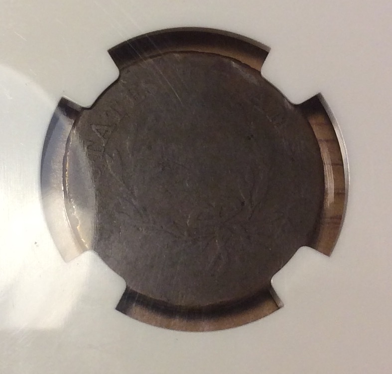 1794-S-28-Large-Cent,-You-Vs.-NGC----Grade-Revealed!