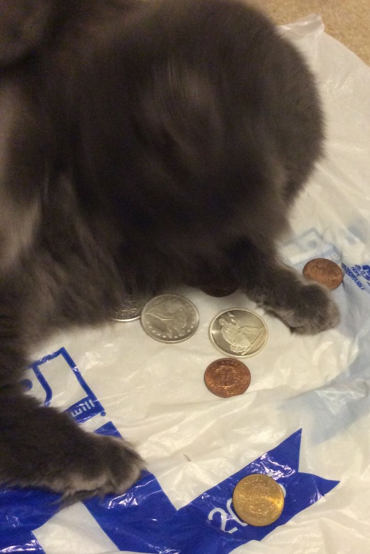 So,-My-Cat-Found-My-Large-Cents-And-Seated-Dollars...