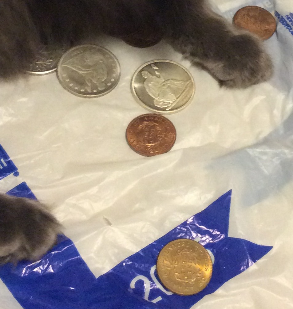 So,-My-Cat-Found-My-Large-Cents-And-Seated-Dollars...