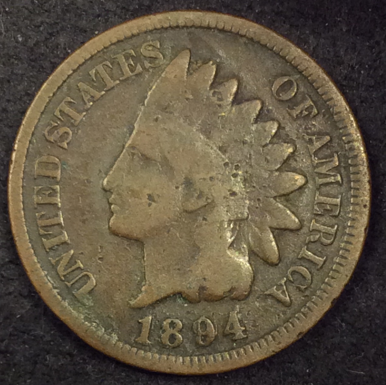 1894-Indian-Cent-Snow-1-RPD