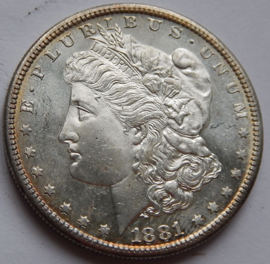 1881-S-Morgan-Dollar-For-Grading!