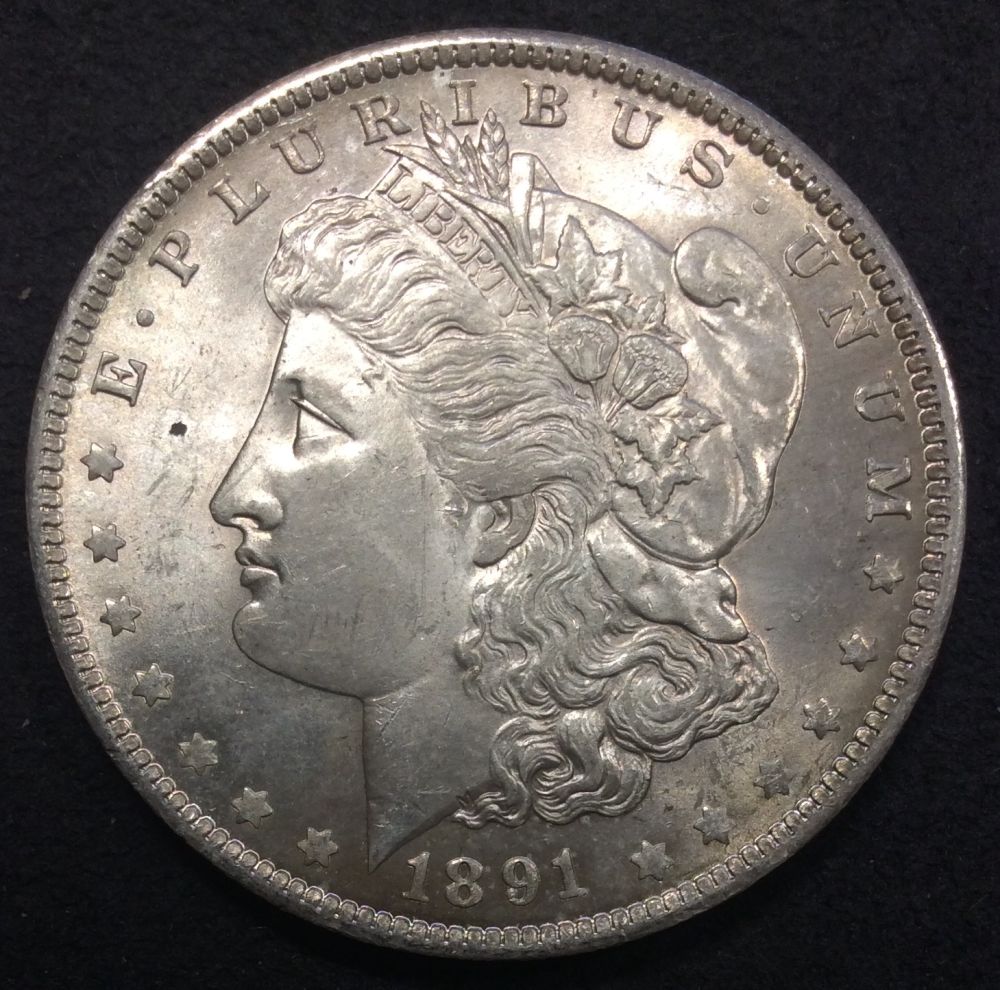 1891-O-Morgan-For-Grading-Part-3