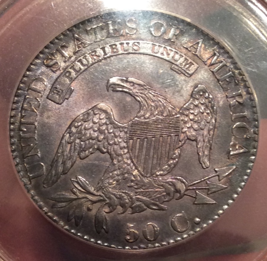 1825-Half-Dollar-For-Grading,-You-Vs-TPG
