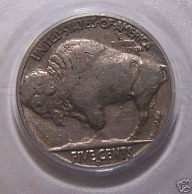 Question-About-These-Buffalos