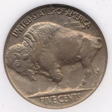 Opinions-Between-These-Two-Buffalos?