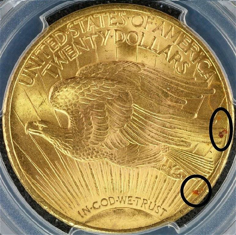 You-Vs-PCGS-20-Dollar-1924-St.-Gaudens