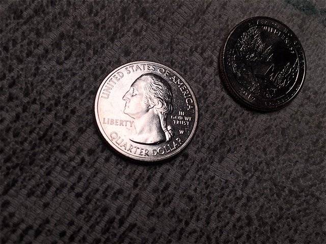 2019-W-Washington-Quarter---River-Of-No-Return