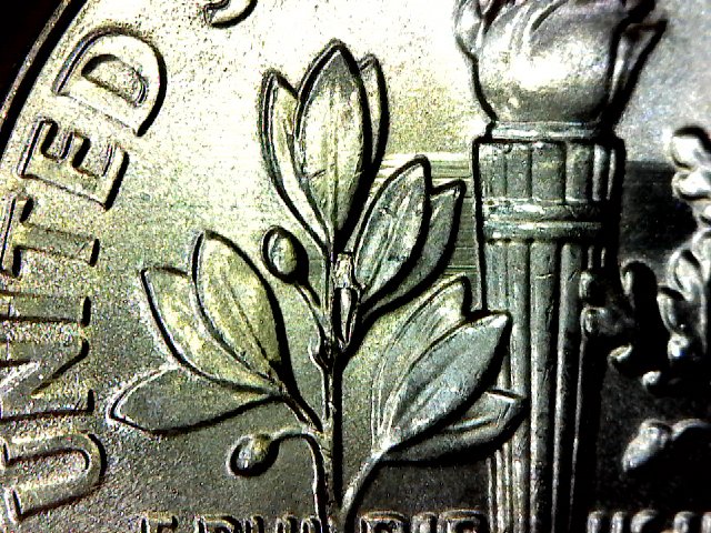 2015-Roosevelt-Dime,-Fingers-And-Chips........