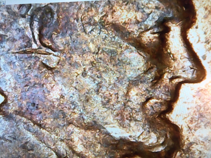 1949-D-Lincoln-Wheat-Cent-Clash-Or-Multiple-Strikes?-MM-D/D/D?