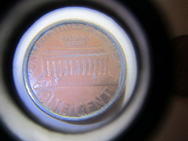 Take-A-Look-At-This-American-1-Cent-Mule?