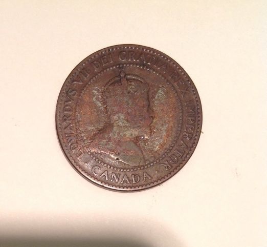 Canadian-1906-Half-Coin-Error