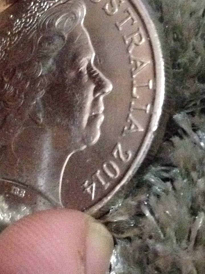 20-Cent-Errors---General