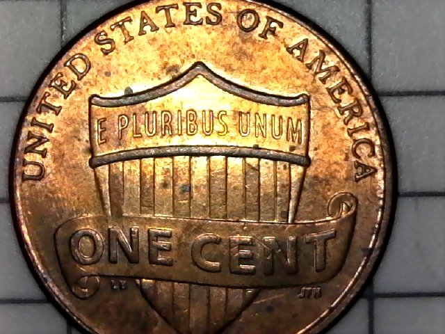 2010-P-LSC;-Could-This-Be-A-Doubled-Ear?