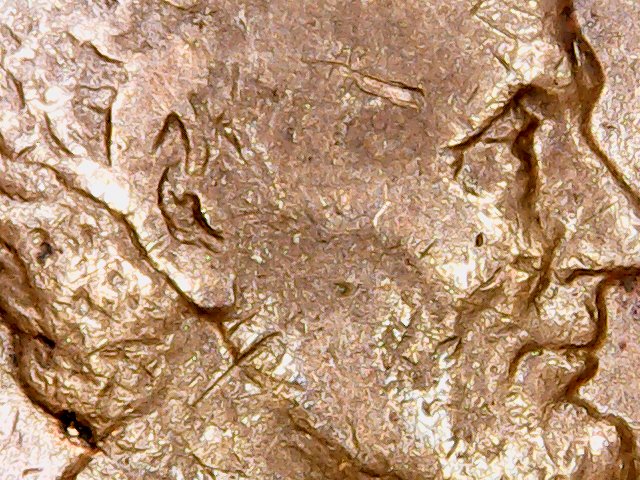 Need-Help-With-A-1917-P-LWC-That-Appears-To-Have-A-Doubled-Inner-Ear.