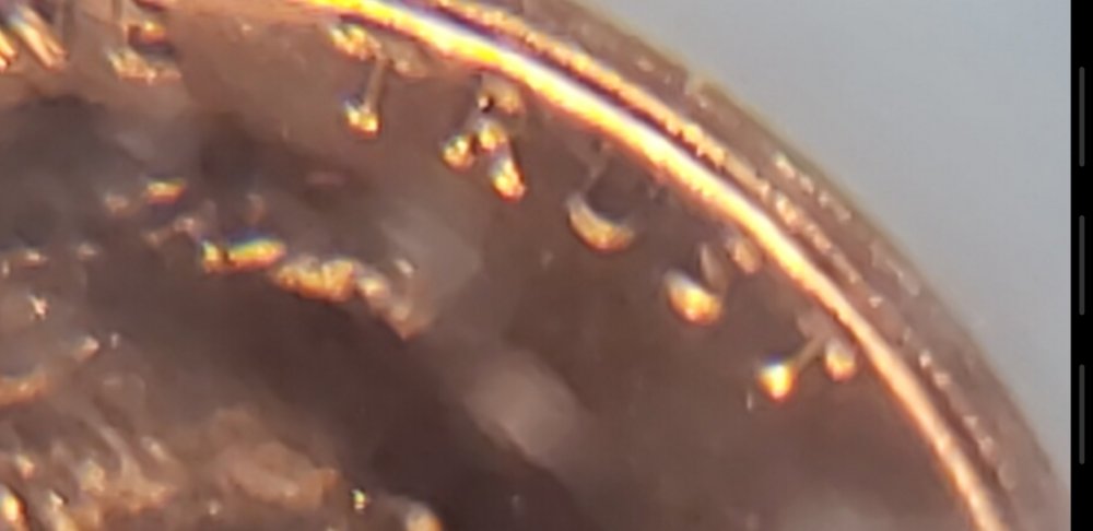1969-S-Double-Die-Penny-Help-Authenticate,-Value,-And-Steps-Forward-Please!
