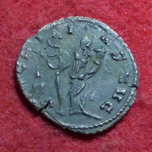Didn't-Win,-But-Wanted-To-Share:-Fascinating-Claudius-II-Error