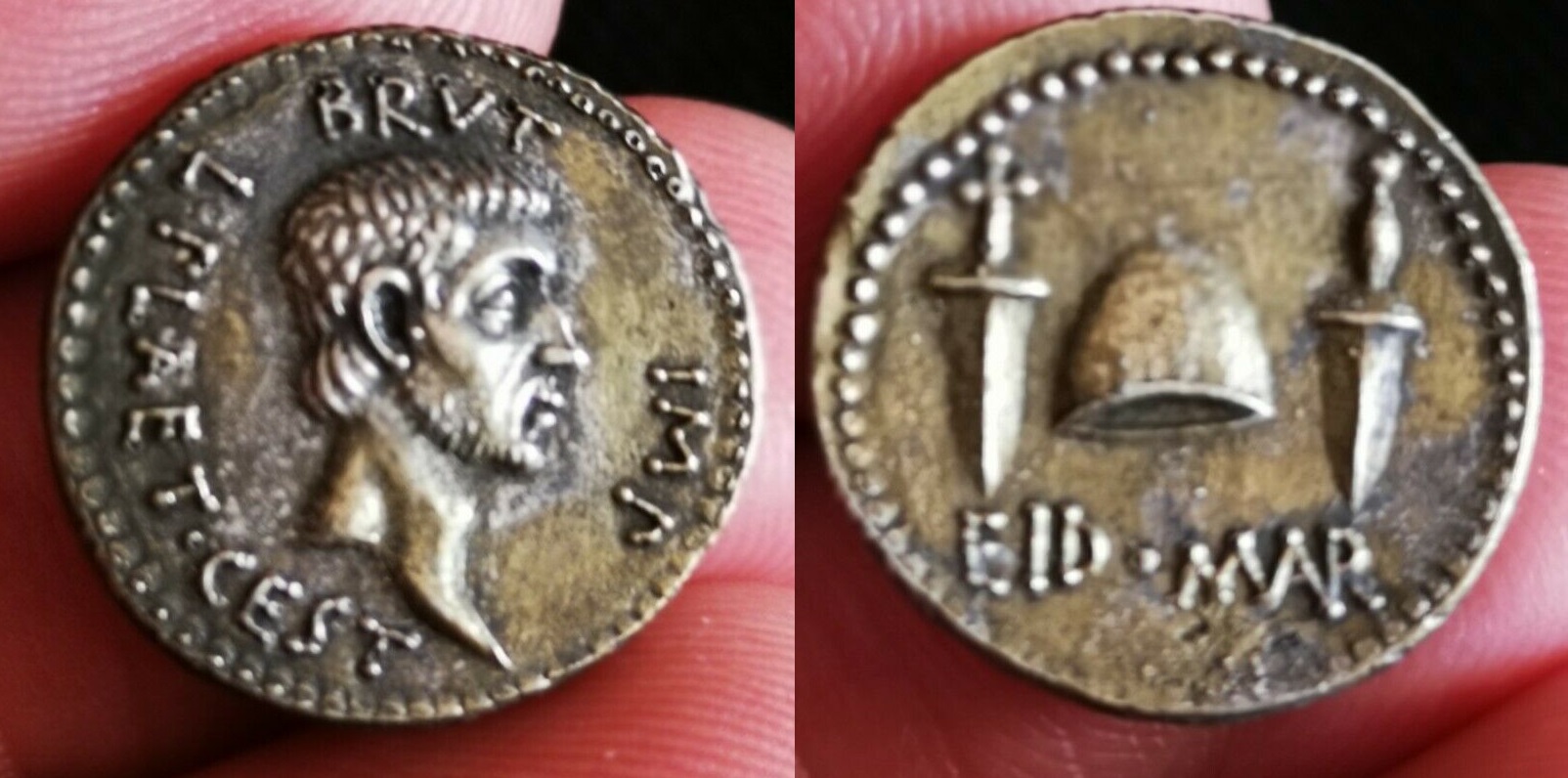 Stupid-Question...is-This-A-Fake?