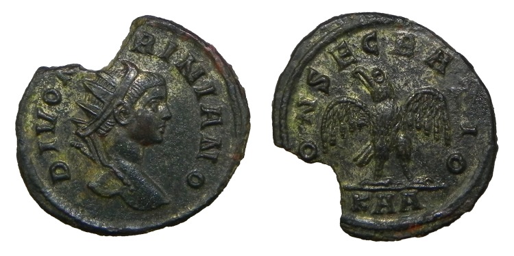Guess-The-Emperor,-Caesar,-Or-Empress