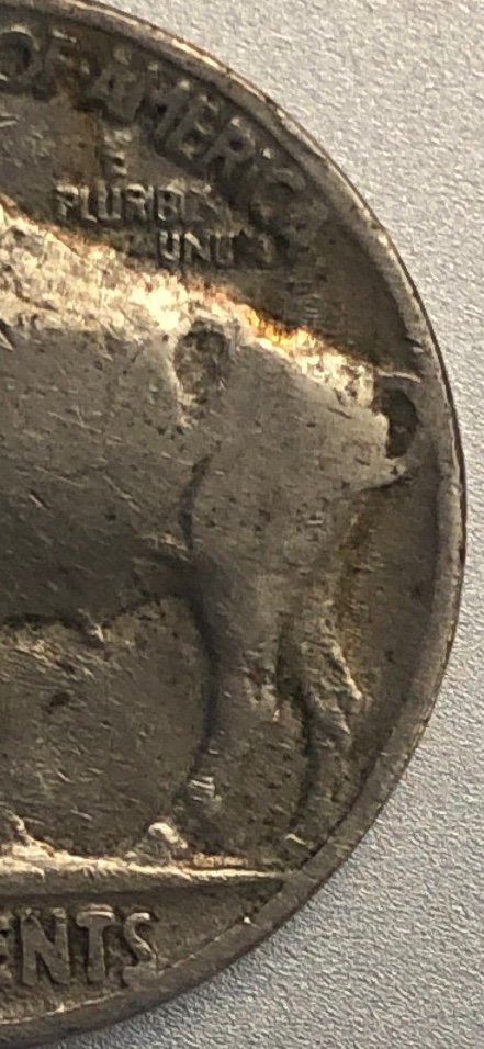 1930-Buffalo-Help-Identify-Verse-Variety