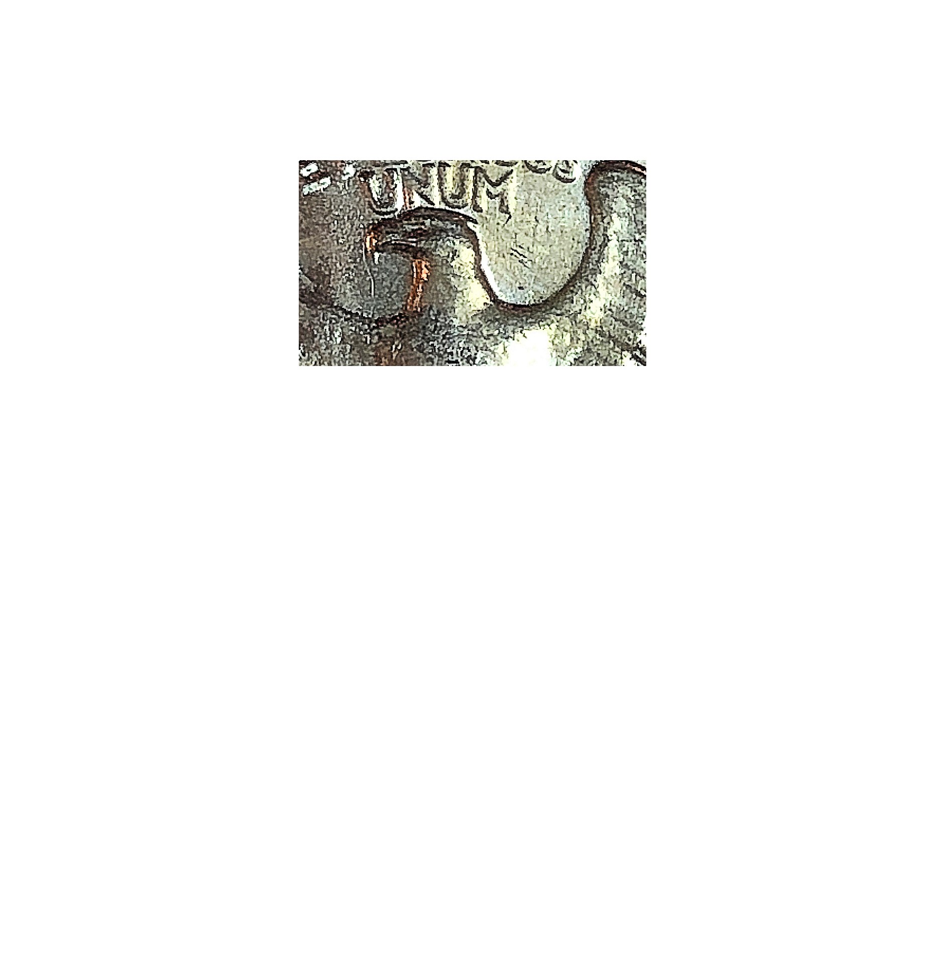 New-Variety?--1964-D-25c-With-Snake-From-Beak