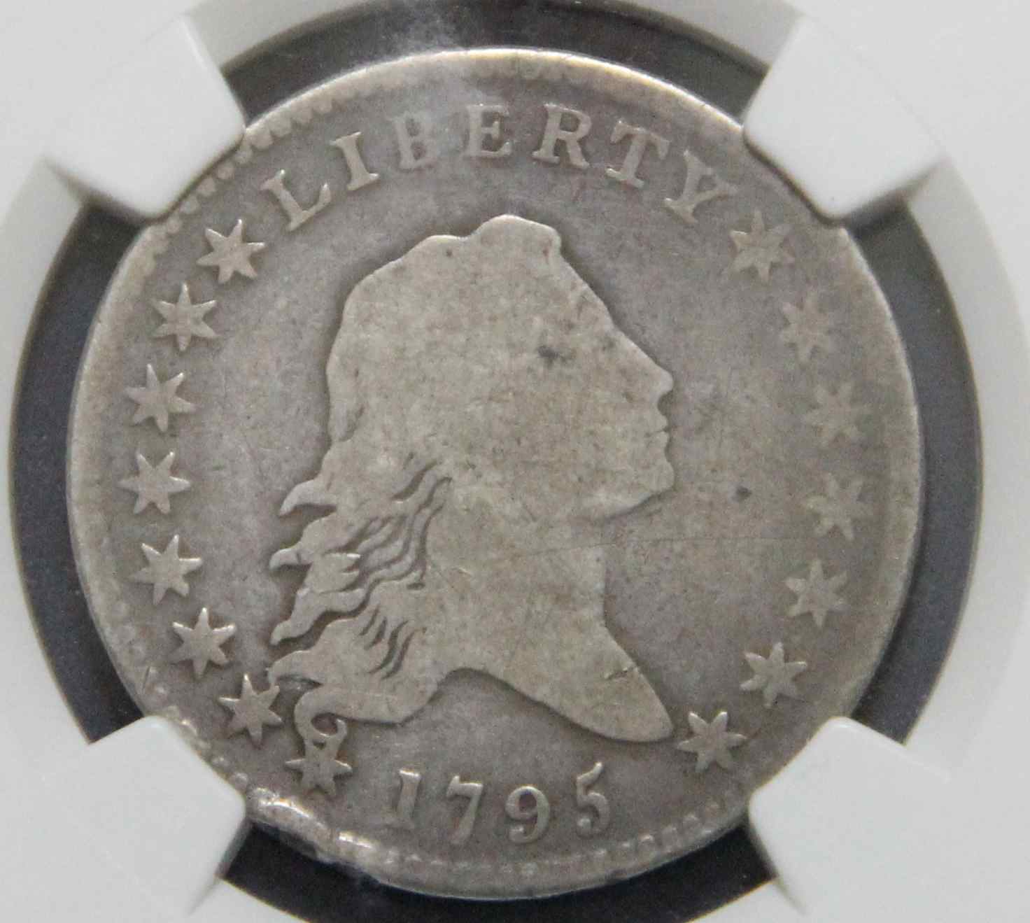 Newest-Addition:-1795-Flowing-Hair-Half