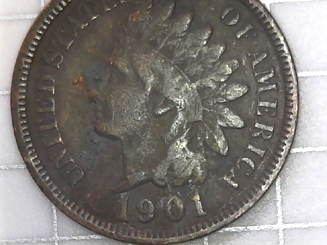 Never-Thought-I-Would-Fine-One-And-Especially-Not-2!-1901-IHC